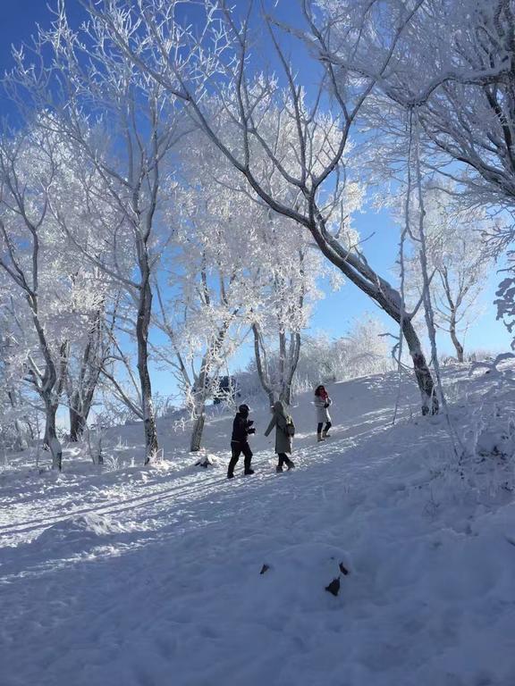 Songhua Lake Qingshan Snow View Apartment Jilin Exterior foto
